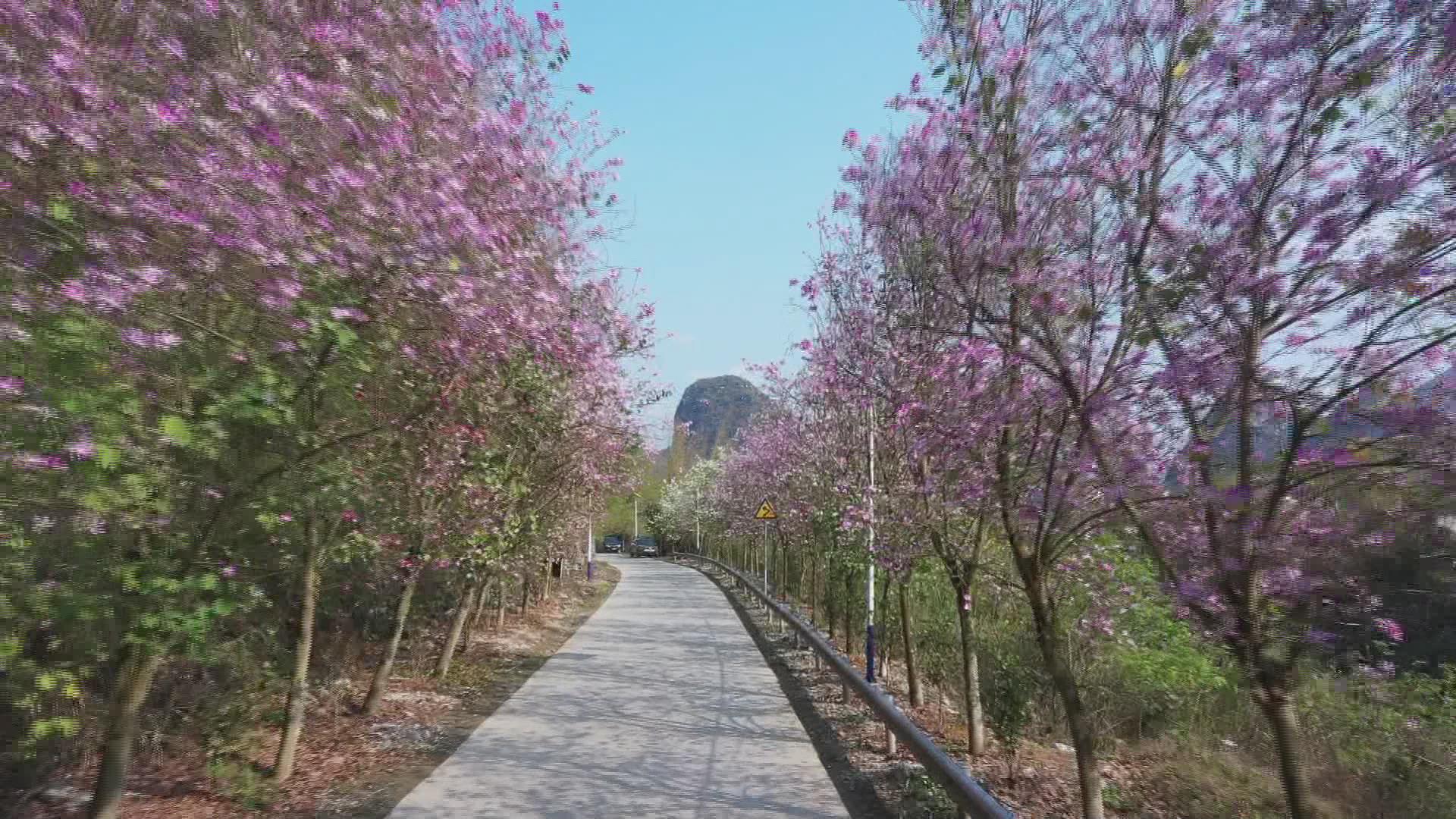 �������ӳء���ǽ�  ��ἴ�