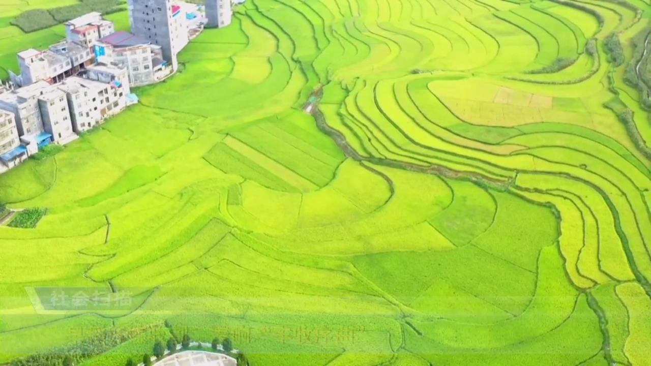 �絾�����ո� ���조����������