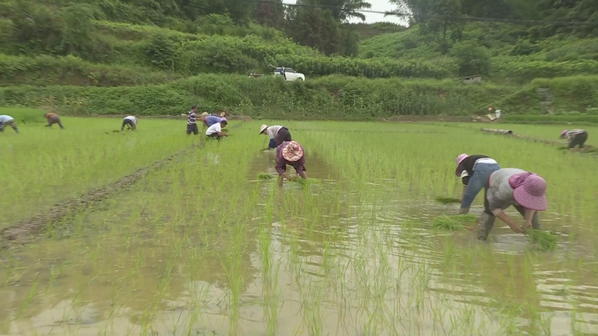 ���������¡������������ �ٽ�ũ������