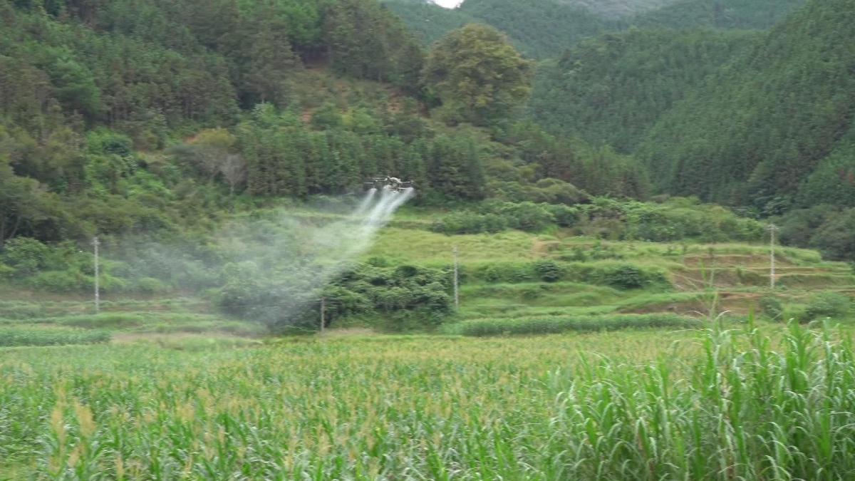 ��룺��һ���١����������Ȳ�����