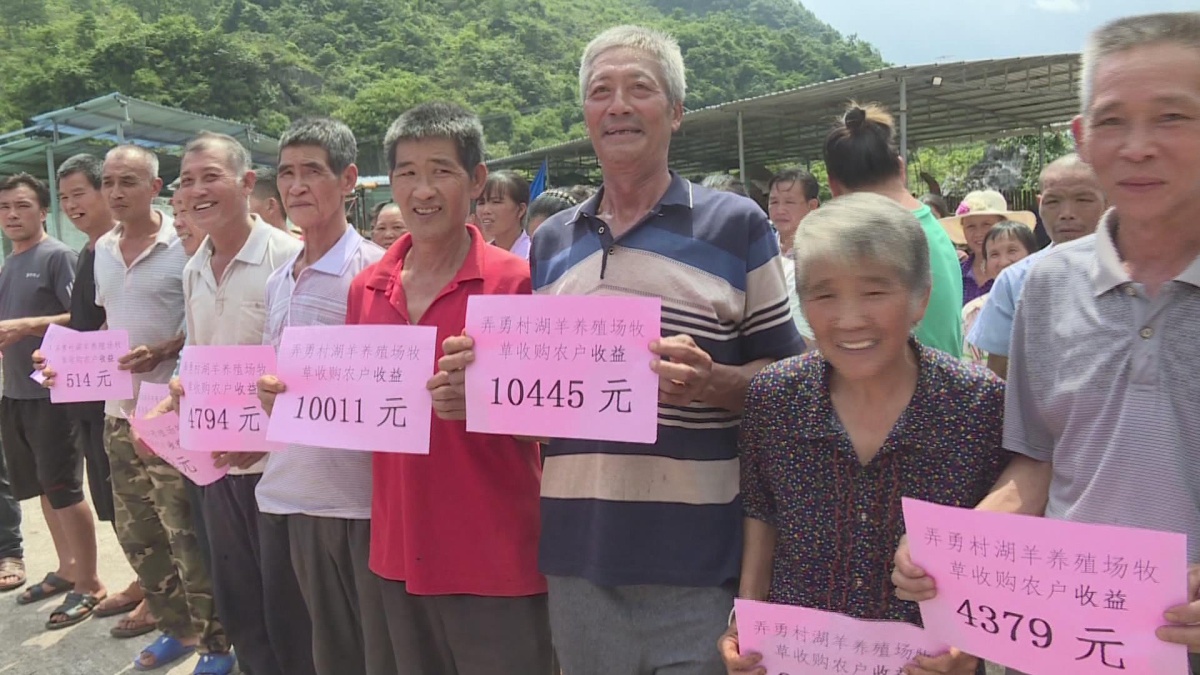 ��Ū�´�200��ũ��ϲ��弯�徭�á�������
