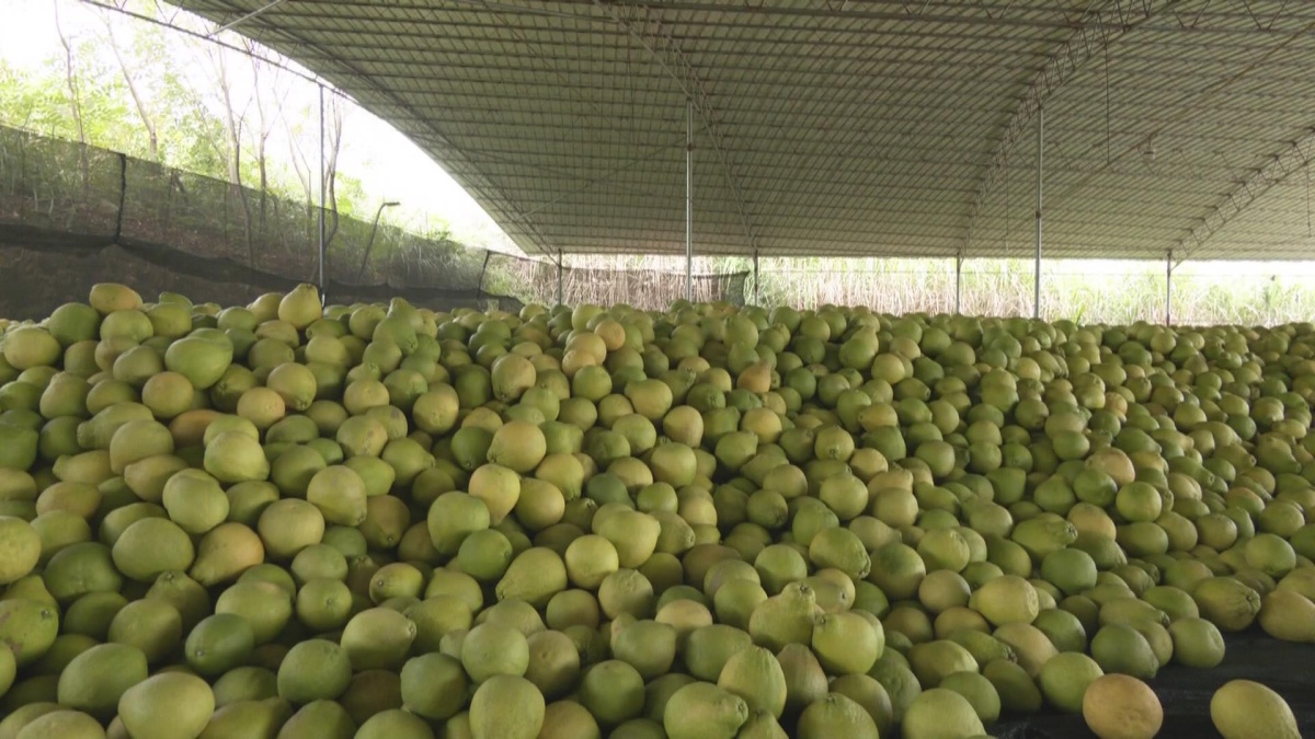 �Ϲ�Ʈ����ռ� ��ҵ����ũ��