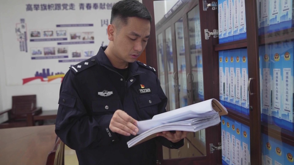 ��ֲΪ���黳 ������������ǳ�ļ�����