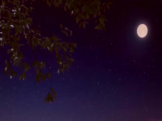 ���»�Զ