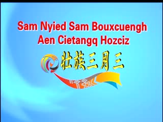 �ӳ�����20190330