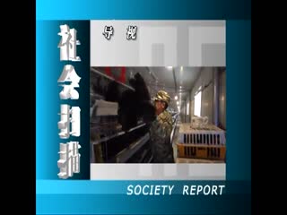 ���ɨ��20220329